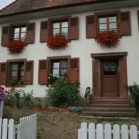 Maison D'Alsace Breitenbach-Haut-Rhin Ngoại thất bức ảnh