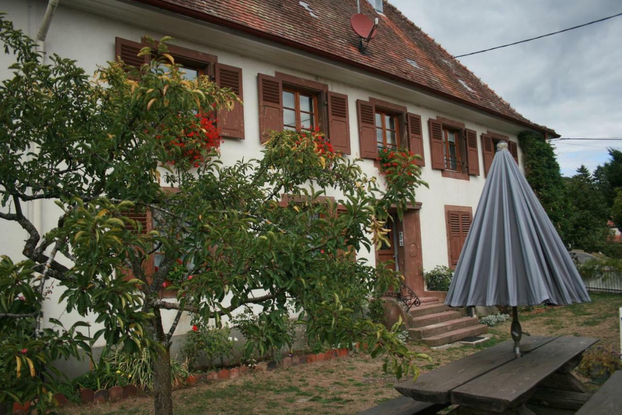 Maison D'Alsace Breitenbach-Haut-Rhin Ngoại thất bức ảnh